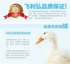 寒冬暖意，浪漫滿屋 飛利弘精品特價羽絨被，助您安享舒適睡眠